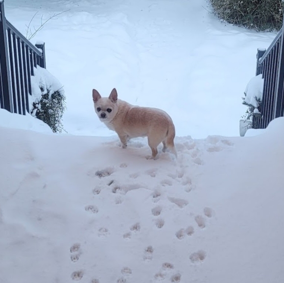 Meet your Posher, Kayte - Picture 2 of 2